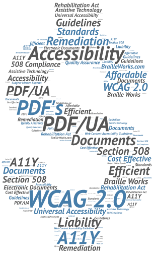 Word cloud in the shape of a dollar sign displaying words related to WCAG 2.0 compliance and section 508 refresh