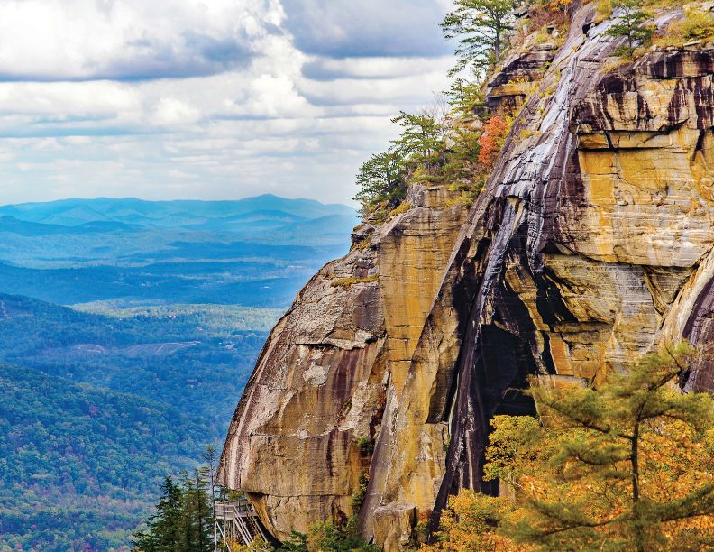 April 2027, Brightly colored side of a mountain with colorful foliage and long tree roots